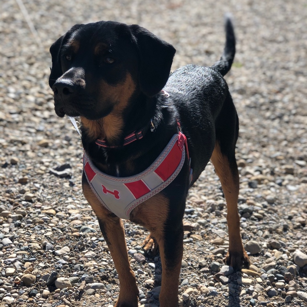 Meet your Posher, Daniela